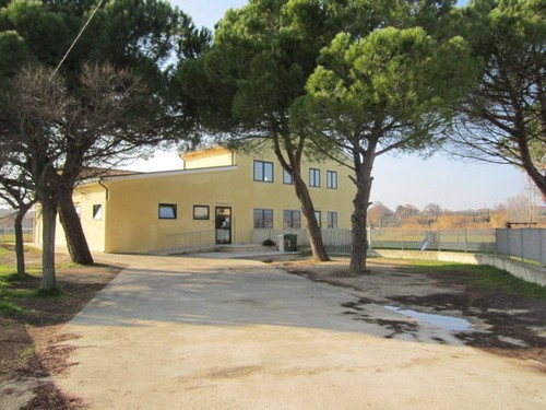 Scuola dell'Infanzia "Foro"